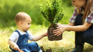 La educación en valores promueve la solidaridad, la convivencia y el amor por la naturaleza.