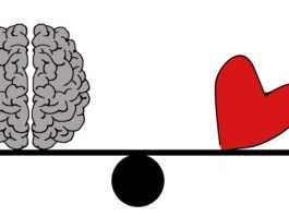 Un corazón y un cerebro yacen en una balanza, creando un equilibrio perfecto que ilustra la esencia de la inteligencia emocional.