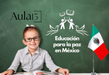 Desarrollando habilidades para la convivencia y la paz en el aula paz