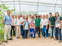 Educación agroecológica en México